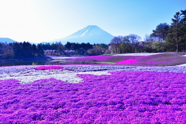 過去開催したツアーの写真